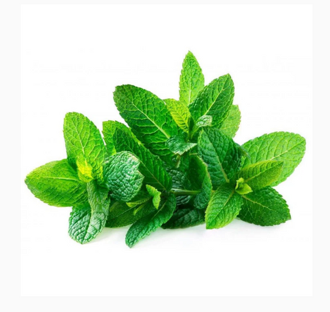 Fresh Mint
