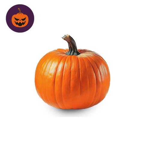 Medium Pumpkin Individual (pre-order)