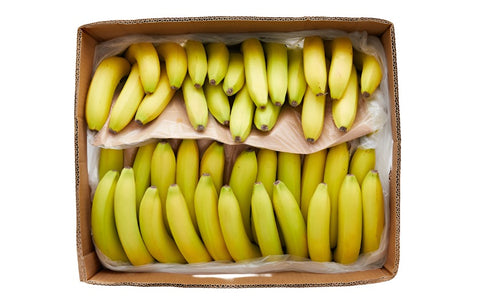 Fruit Cases