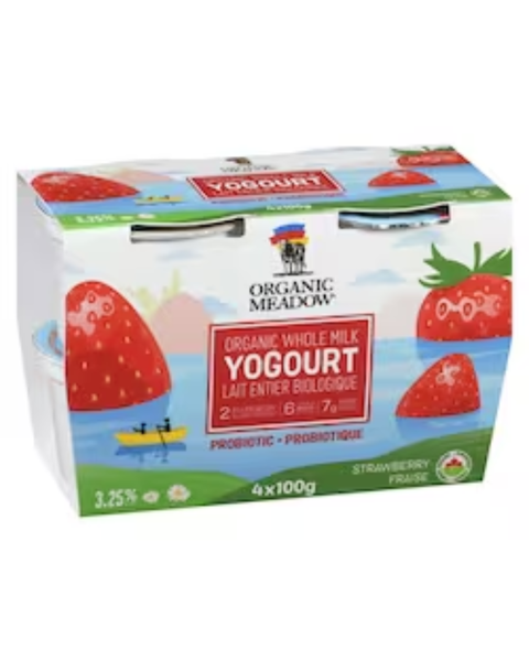 Organic Yogurt (4 x 100g)