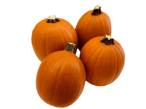 Small Pumpkin (Pack of 4)