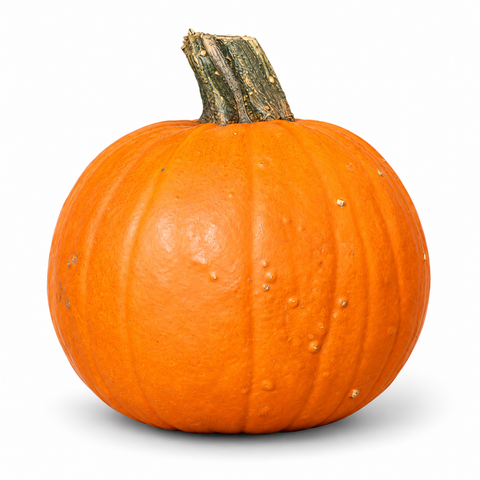 Small Pumpkin Individual | Halloween