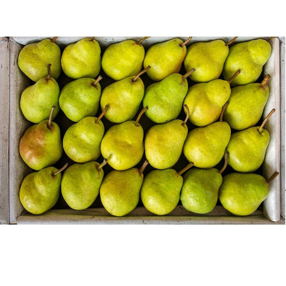 Case of Pears (40lbs) – Fruit Suite