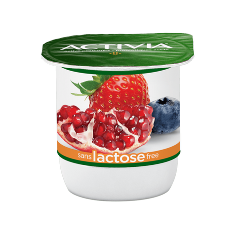 Activia | Lactose Free Yogurt (24 x 100g)